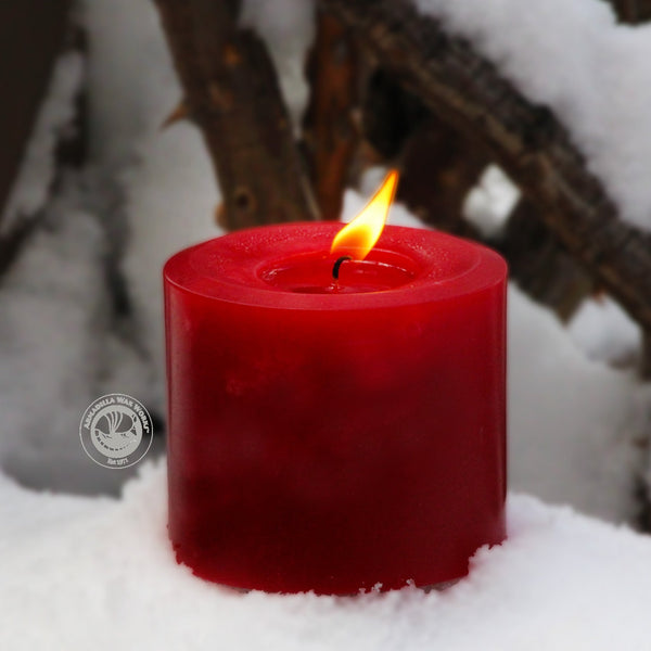 Stories about Armadilla Wax Works, candles, family and friends. - Armadilla Wax Works Candle Store
