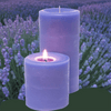 Lavender Fields Scented Pillar Candles - Armadilla Wax Works Candle Store