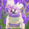 Mother's Day Lavender Fields gift - Armadilla Wax Works Candle Store
