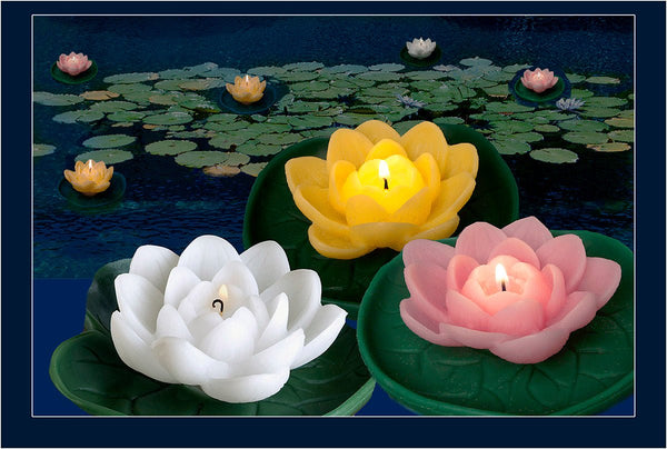water lily flower shop Water Lily Floating Candles Indoor or Outdoor