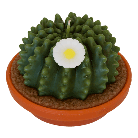 Arizona Cactus Candles - Armadilla Wax Works Candle Factory Store