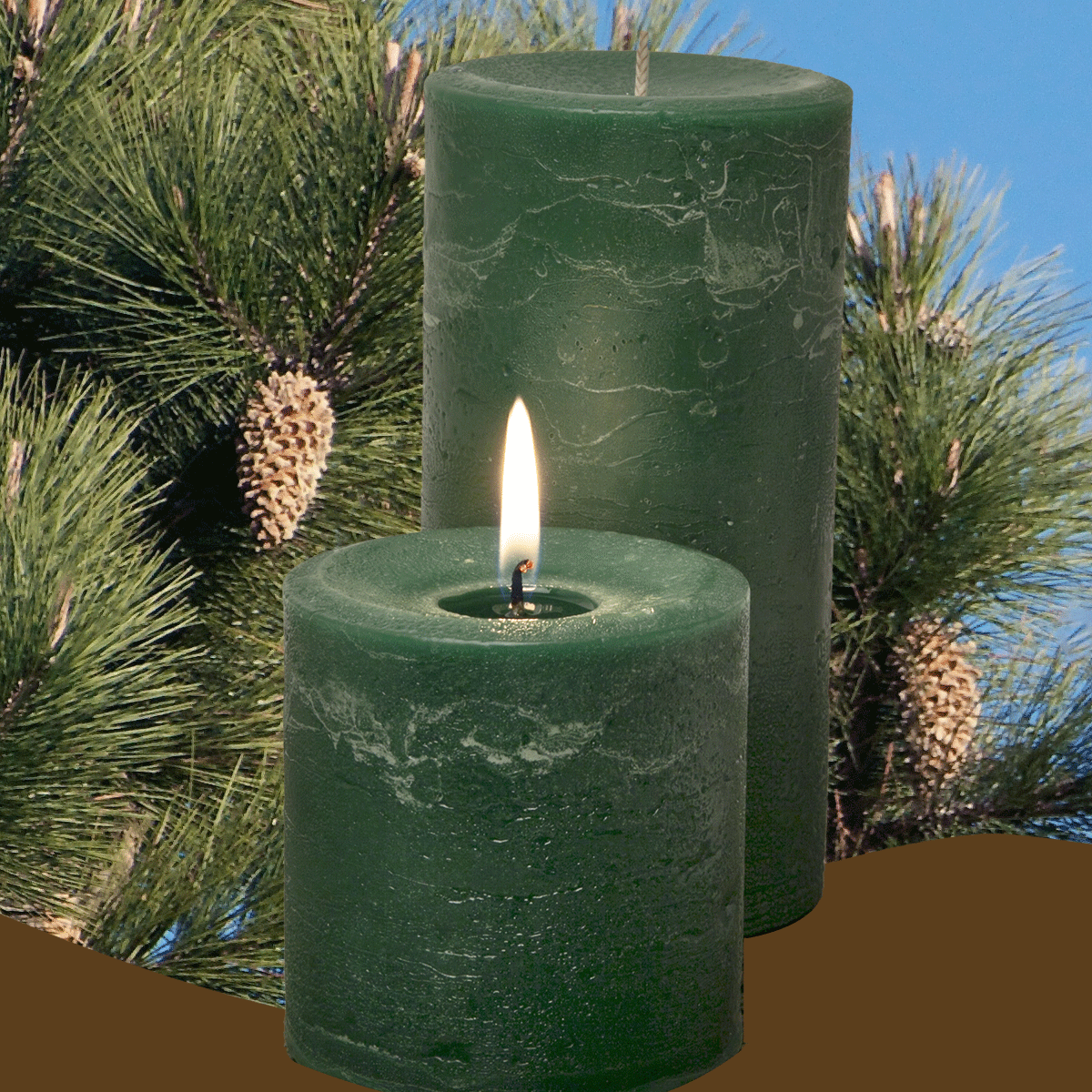 Ponderosa Pine Pillar Candle - Armadilla Wax Works Candle Factory Store