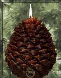 Scented Pine Cone Shaped Candles - Armadilla Wax Works Candle Factory Store