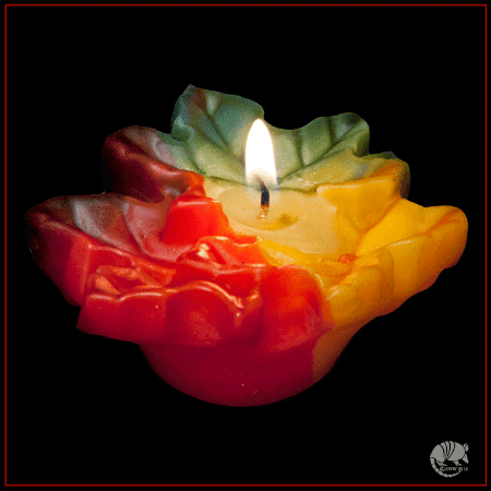 Leaf Cluster 3 inch Floating Candle - Armadilla Wax Works Candle Store