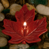 Maple Leaf 4 inch Floating Candle - Armadilla Wax Works Candle Store