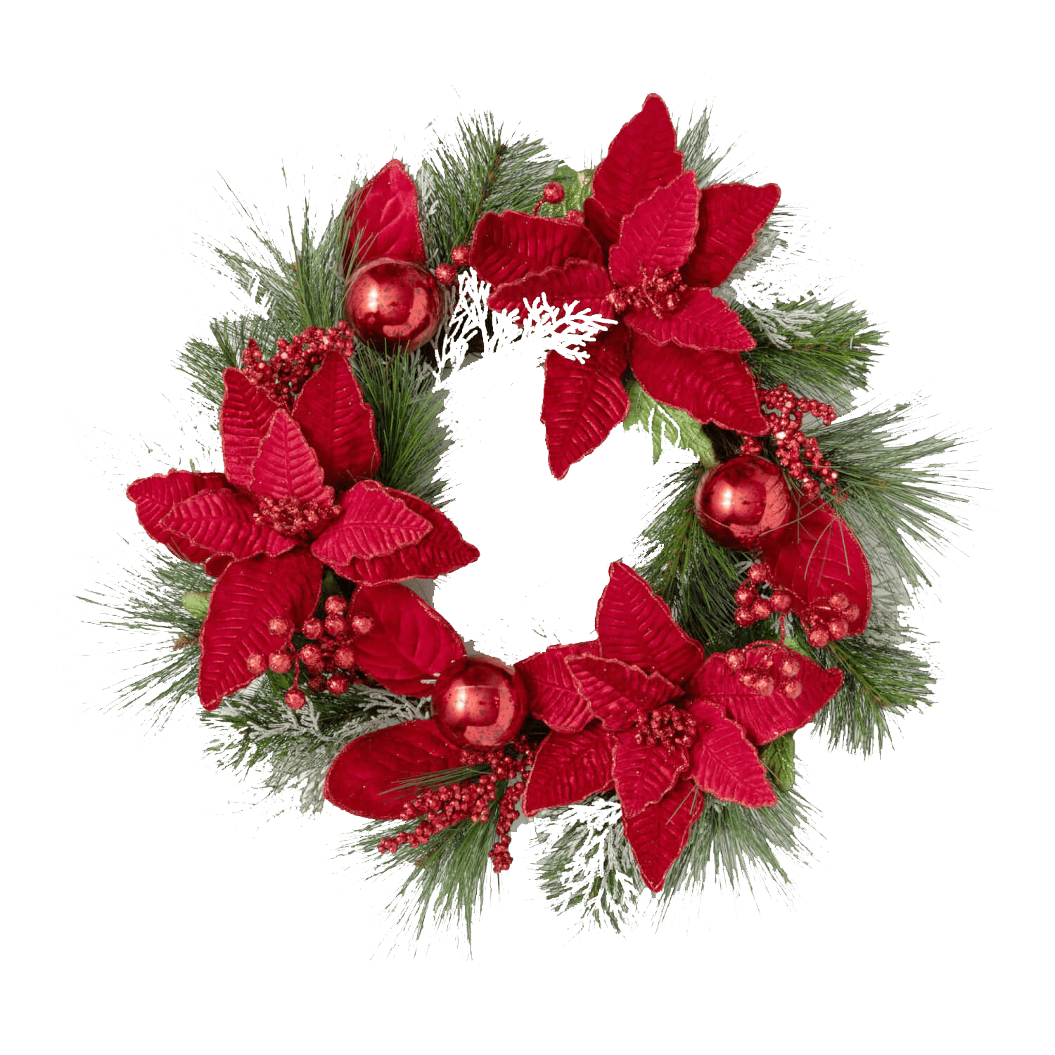 Poinsettia and Pine 24