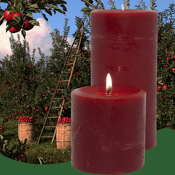 Pomegranate Ginger Scented Pillar Candle - Armadilla Wax Works Candle Store