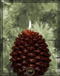 Scented Pine Cone Shaped Candles - Armadilla Wax Works Candle Store