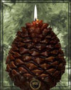 Scented Pine Cone Shaped Candles - Armadilla Wax Works Candle Store