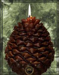 Scented Pine Cone Shaped Candles - Armadilla Wax Works Candle Store